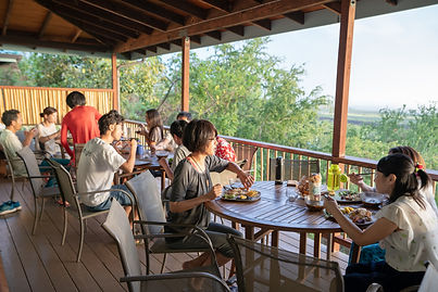 Delphinaのハワイ合宿