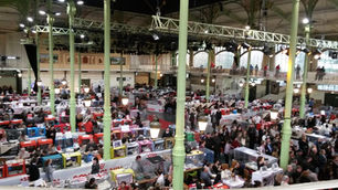 Les expositions félines