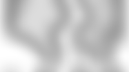 Le standard du persan chinchilla et shaded