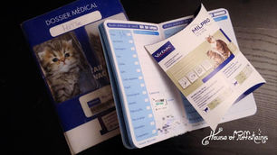 Le coût annuel d'un chat