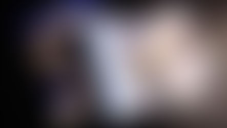 Le coût annuel d'un chat