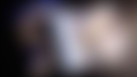 Le coût annuel d'un chat