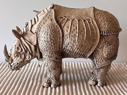 Durer’s Rhino