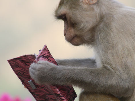 Dağarcık - Mayıs 2011 (2. Baskı)