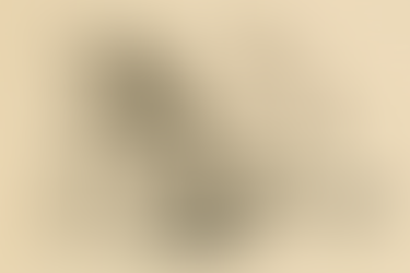 Dağarcık - Şubat 2013 (2. baskı)