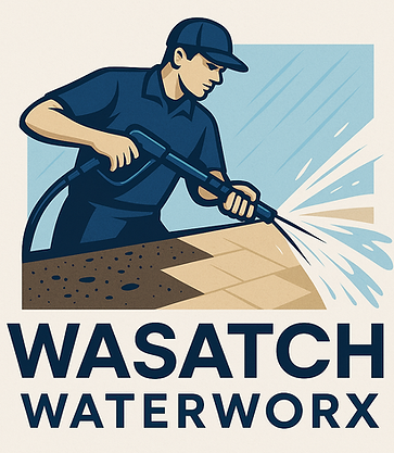 Power Washing a path with Wasatch WaterWorx