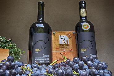mondial du merlot.2.jpeg
