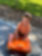 IMG_8483.jpeg