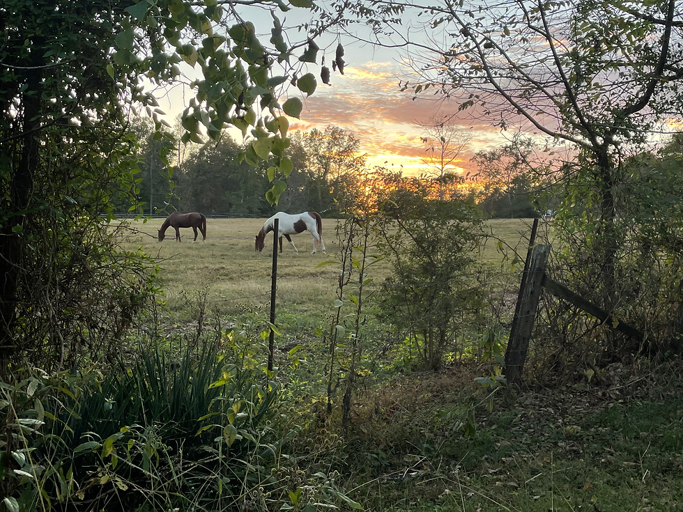 I Promise The Acolyte is Still Coming ...