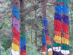 Painted forest of Oma