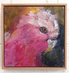 pink galah original art