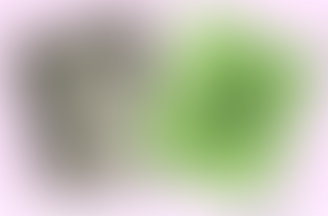 Les lettres du Mahatma Gandhi à Adolf Hitler