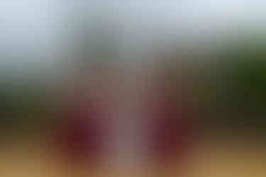 Bridesmaids in red dresses with bride. Capturing the Magical Moments of Marianne and Brett's Wedding.