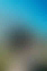 Hanbury Barn Wedding Photographer