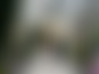 What is a wedding photographer's role?