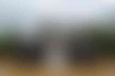 Bride and groomsmen pose together on a rainy day Capturing the Magical Moments of Marianne and Brett's Wedding