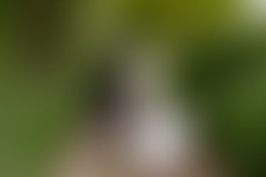 How to Create a Wedding Video: Step-by-Step Guide UK