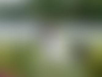 Understand the role of posing in wedding photography