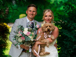 15 Minute Dog Photo Slot for Safer, Better UK Wedding Photos