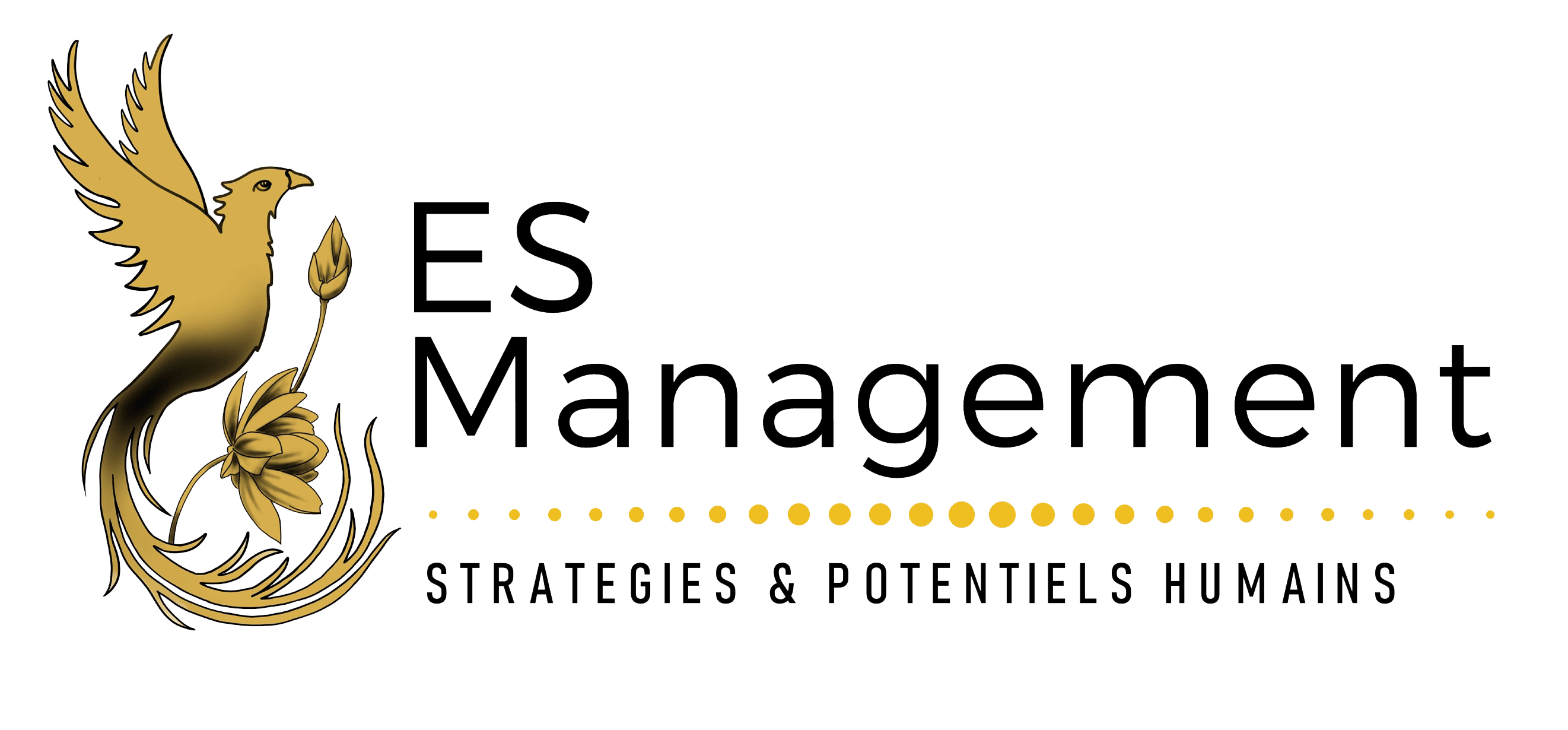 Logo ES-Management