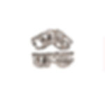 Silver articulated ring with little feathers