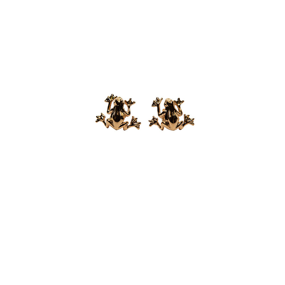 Tiny frog bronze earrings