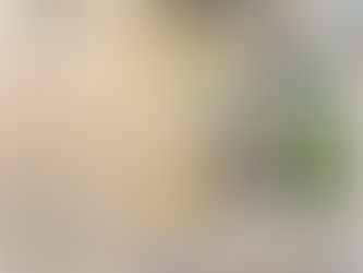 Délabrée et laissée à l'abandon: La Maison Pascal-Poirier est-elle condamnée?