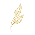 golden outline of two leaves