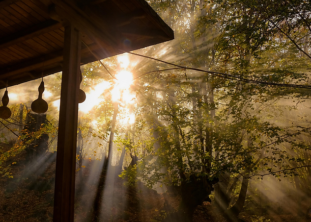 Sunshine beaming through the misty forest onto an old cabin in the woods
