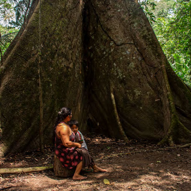 Decoração de Casa com Obra de Arte