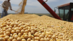 PIB de Minas Gerais cresce 1,2% e soma R$ 305,4 bilhões no segundo trimestre de 2025