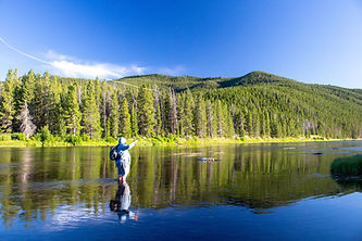 IMG_6731.jpg