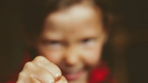 La otra cara del Bullying, el Bully