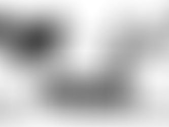 CONTEST Schweizer Naturweine 2026