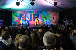 flir (19 de 179)