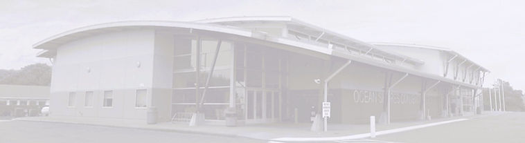 OSCC Warm Contrast.jpg