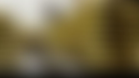 Harga Emas Menguat Terbatas di Akhir Pekan