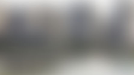 Lippo, MNC, Sinarmas & Salim, Mana Paling Cuan Sahamnya?