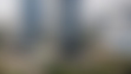 Sejak RI Merdeka, Pemerintah Tak Pernah Telat Bayar Bunga ORI