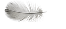 Untitled design (26).png