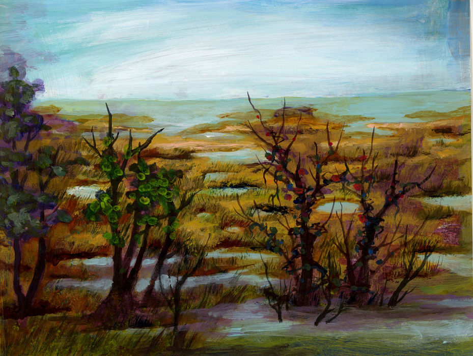 litter Neck bay b.jpg