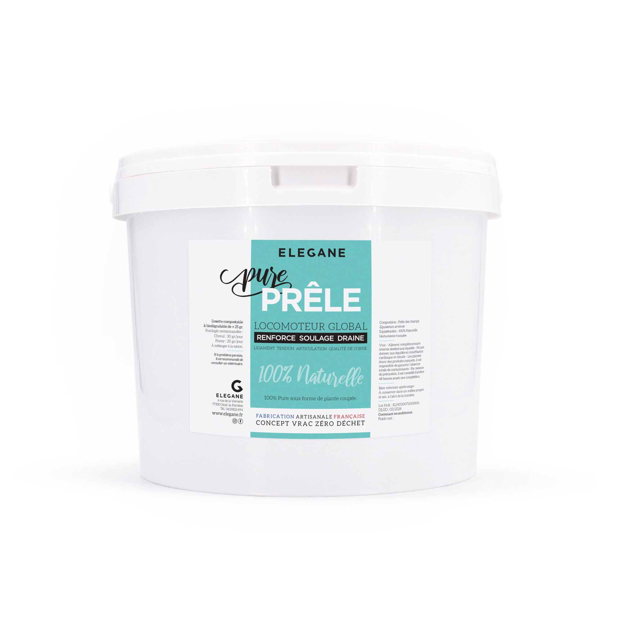 Prêle cheval articulation locomoteur