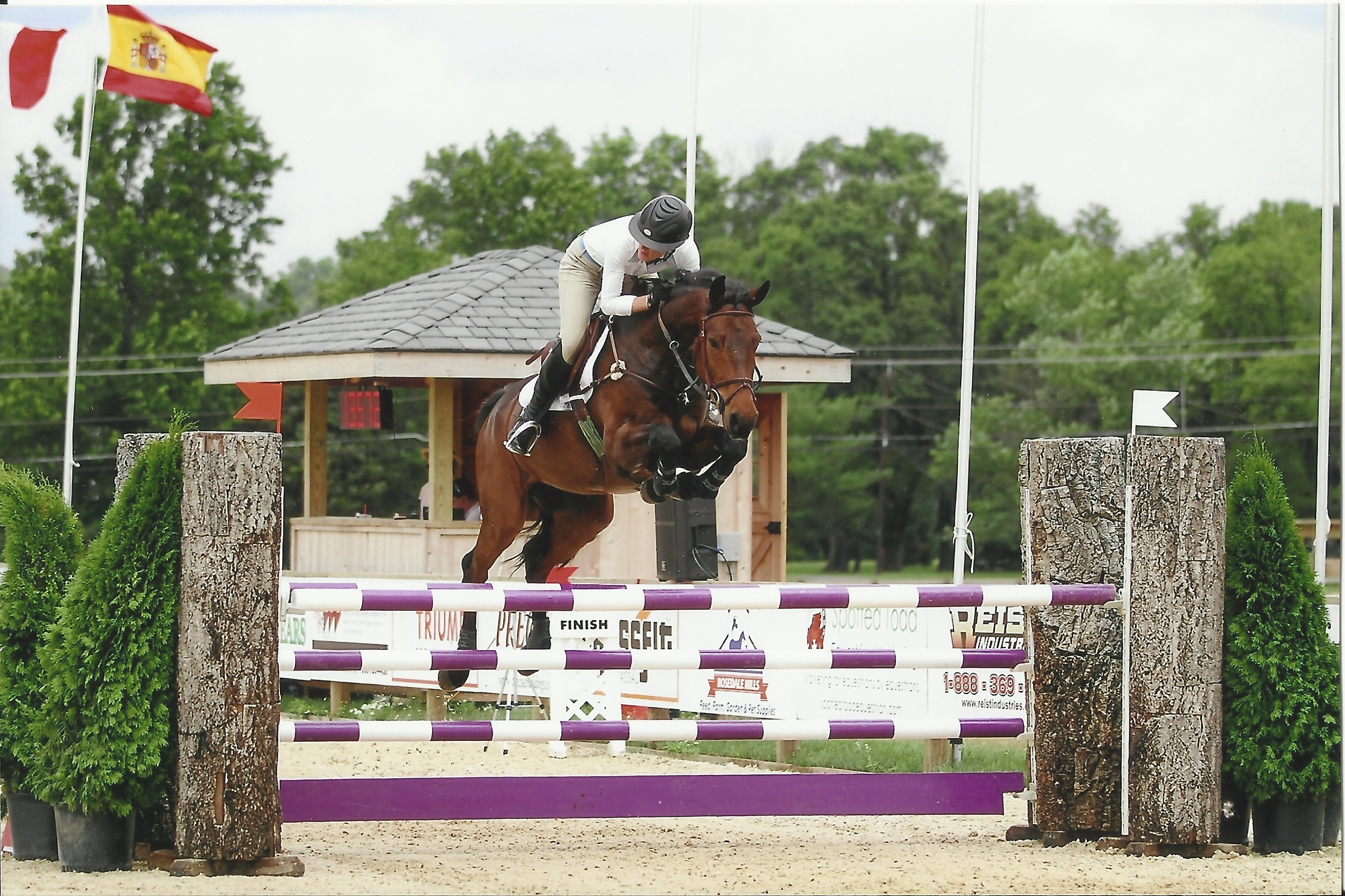 Manuel Show Stables Hunters Jumpers Equitation