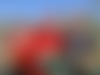 Lula mostra verdadeira homenagem ao Agricultor, enquanto governo Bolsonaro posta foto de caçador