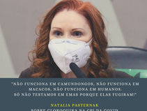 Microbiologista desmascara a farsa da Cloroquina de Bolsonaro