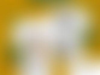 Fortaleça a luta do projeto BIOREVOLUÇÃO! Adquira uma camiseta feita de garrafas pet recicladas.