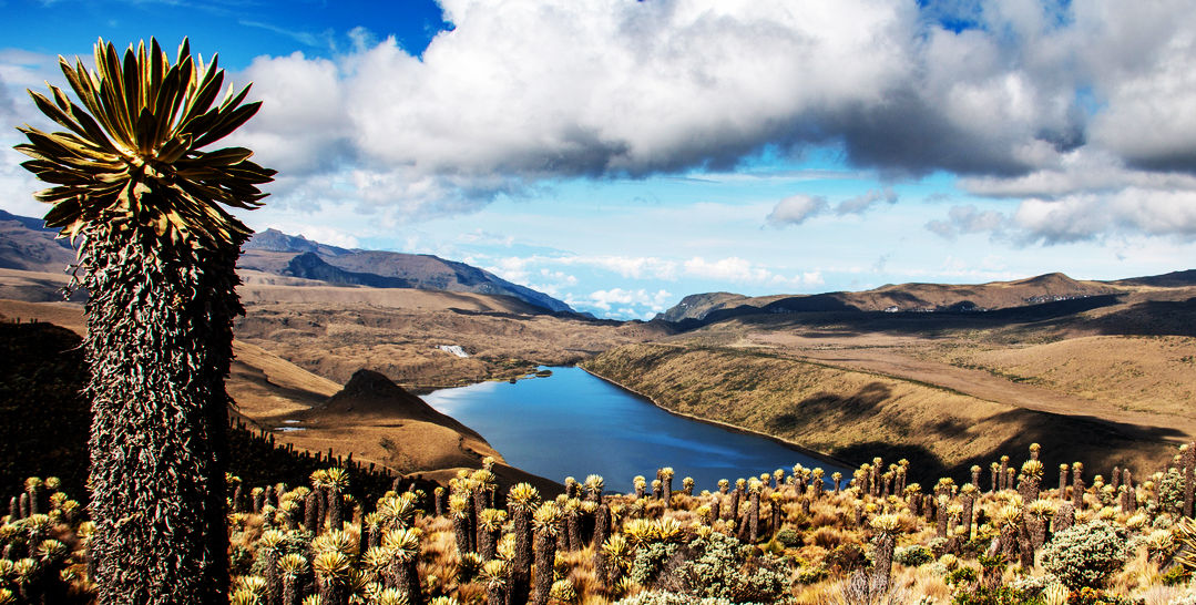 laguna del otun