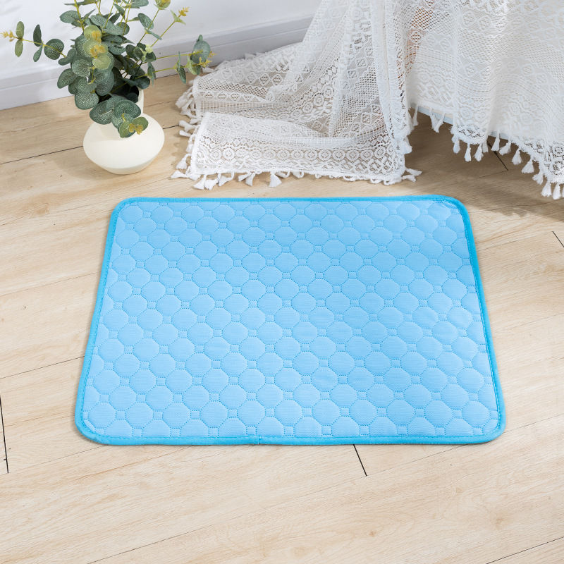 Thumbnail: Pawdry Reusable Washable Pet Training Pad