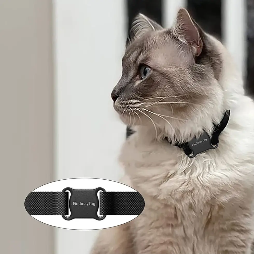 Thumbnail: TrackPaw GPS Smart Collar for Cats & Dogs