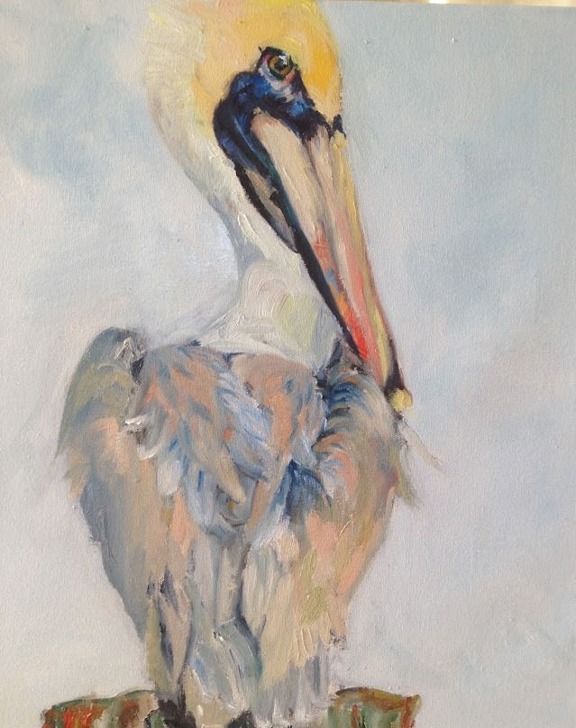 Pelican memories of sailing